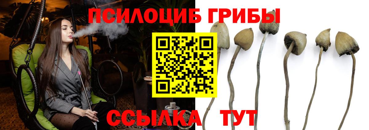 Галлюциногенные грибы мицелий Елец
